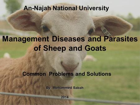 Management Diseases and Parasites of Sheep and Goats