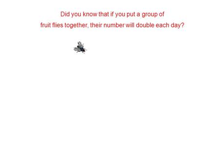 Did you know that if you put a group of fruit flies together, their number will double each day?