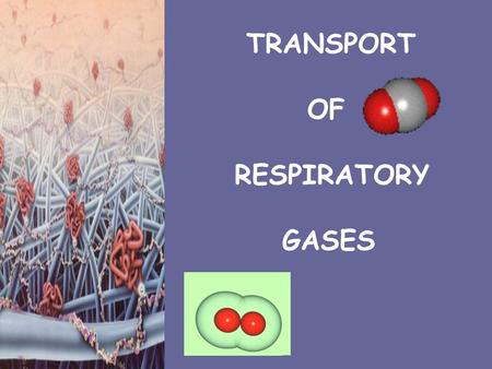 TRANSPORT OF RESPIRATORY GASES.