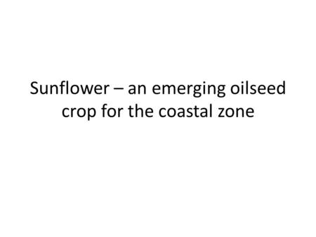 Sunflower – an emerging oilseed crop for the coastal zone.