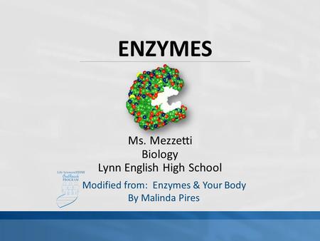 ENZYMES Ms. Mezzetti Biology Lynn English High School
