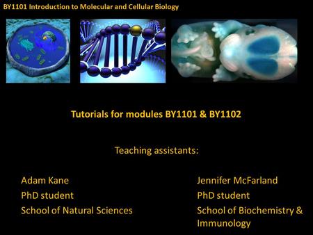 Tutorials for modules BY1101 & BY1102 BY1101 Introduction to Molecular and Cellular Biology Teaching assistants: Adam KaneJennifer McFarlandPhD student.