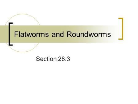 Flatworms and Roundworms Section 28.3. Flatworms The largest group of acoelomate worms Contain a mesoderm Has tissues organized into organs Bilaterally.