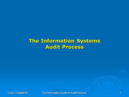 The Information Systems Audit Process