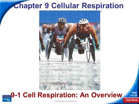 9-1 Cell Respiration: An Overview
