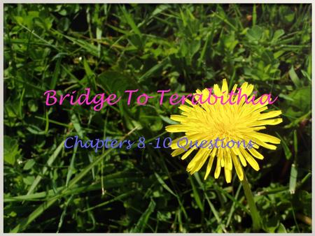 Bridge To Terabithia Chapters 8-10 Questions.