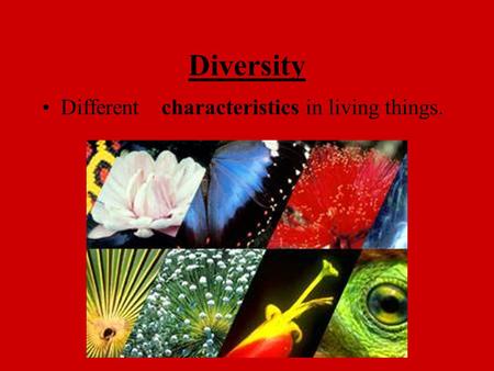 Diversity Different in living things.characteristics.