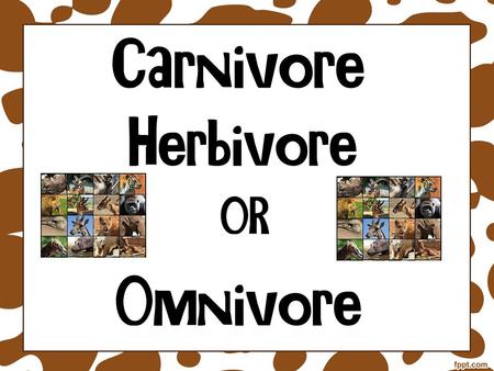 A carnivore is an animal that eats only flesh or meat.
