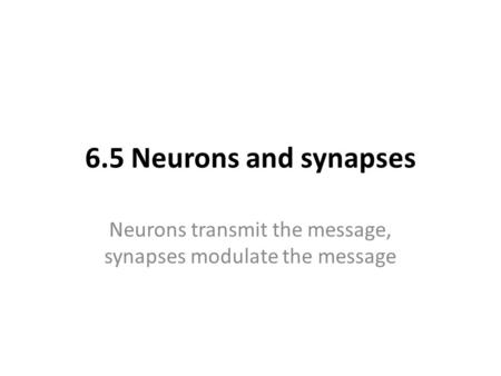 Neurons transmit the message, synapses modulate the message