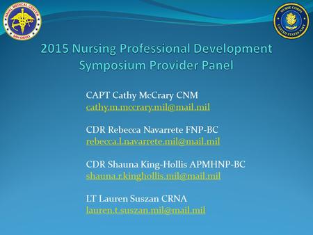 2015 Nursing Professional Development Symposium Provider Panel