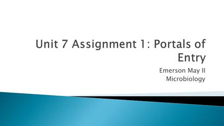 Unit 7 Assignment 1: Portals of Entry