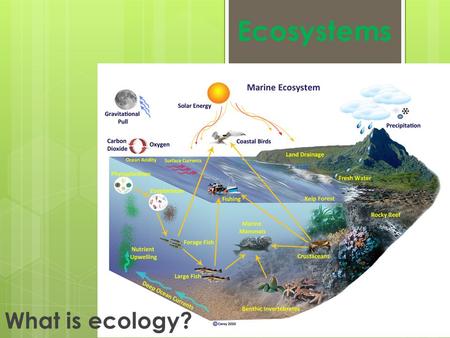 Ecosystems What is ecology?.
