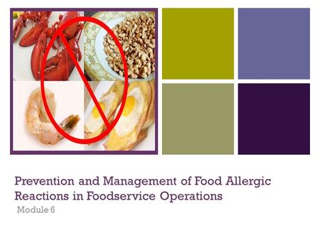 + Prevention and Management of Food Allergic Reactions in Foodservice Operations Module 6.