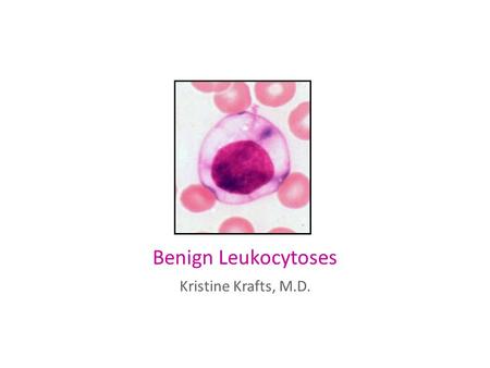 Benign Leukocytoses Kristine Krafts, M.D..