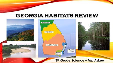 GEORGIA HABITATS REVIEW 3 rd Grade Science – Ms. Askew.