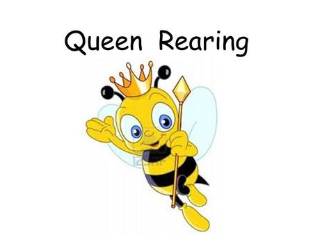 Queen Rearing. The following is required for successful raising of queens: ample supply of nectar and good quality pollens an abundance of sexually mature,