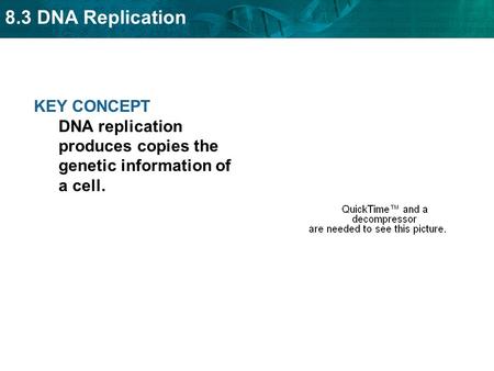 Replication copies the genetic information.
