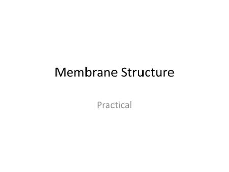 Membrane Structure Practical. Question: Other than as carrier proteins state two functions of membrane bound proteins (2). Receptors Enzymes Structural.