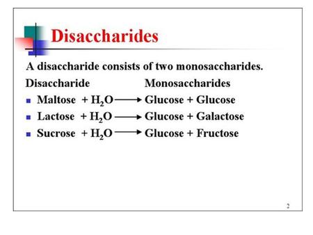 Disaccharides. Disaccharides - Maltose Glucose + glucose; alpha acetal linkage.