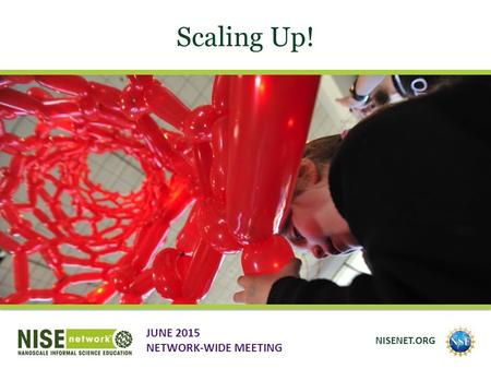 Scaling Up! JUNE 2015 NETWORK-WIDE MEETING NISENET.ORG.