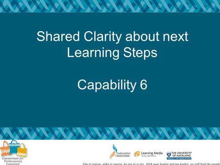Shared Clarity about next Learning Steps Capability 6.