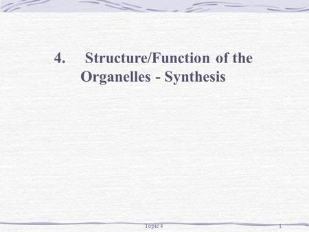 Topic 41 4.Structure/Function of the Organelles - Synthesis.