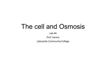 The cell and Osmosis Lab #4 Prof. Santos LaGuardia Community College.