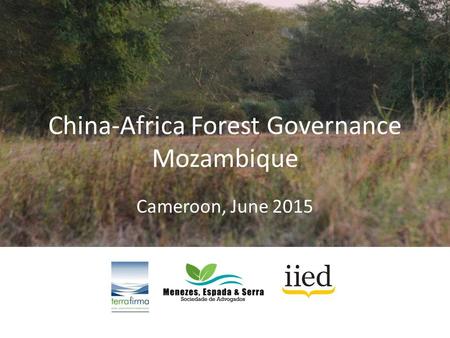 China-Africa Forest Governance Mozambique Cameroon, June 2015.