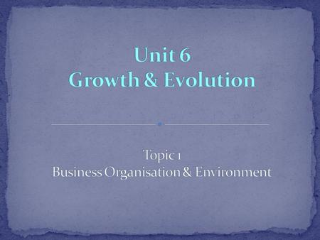 Topic 1 Business Organisation & Environment