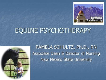 EQUINE PSYCHOTHERAPY PAMELA SCHULTZ, Ph.D., RN Associate Dean & Director of Nursing New Mexico State University.