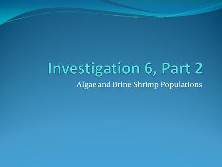 Algae and Brine Shrimp Populations