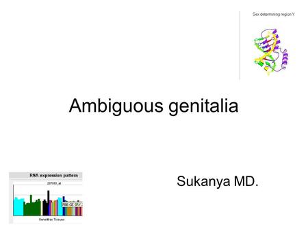 Ambiguous genitalia Sukanya MD..