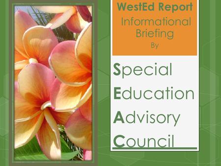 WestEd Report Informational Briefing By S pecial E ducation A dvisory C ouncil.
