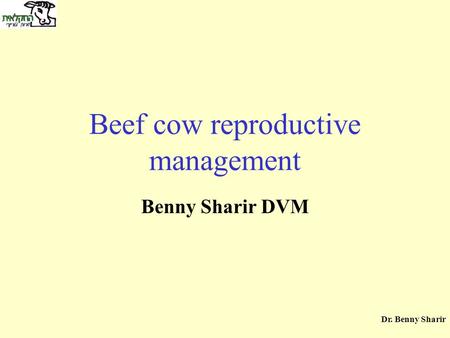Beef cow reproductive management