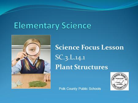 Science Focus Lesson SC.3.L.14.1 Plant Structures Polk County Public Schools.
