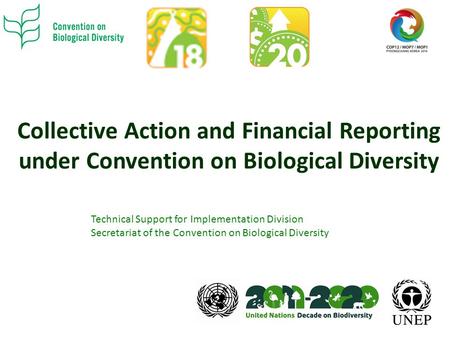 Collective Action and Financial Reporting under Convention on Biological Diversity Technical Support for Implementation Division Secretariat of the Convention.