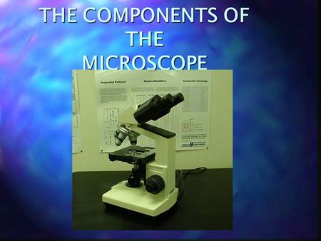 THE COMPONENTS OF THE MICROSCOPE. THE MICROSCOPE n EYEPIECE.