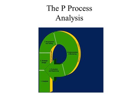 The P Process Analysis. Presentation Objectives By the end of this session you should be able to: explain the rationale for conducting a situation analysis;