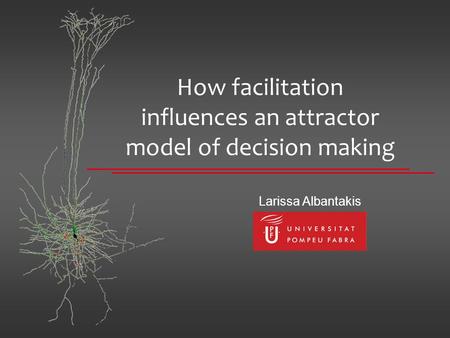 How facilitation influences an attractor model of decision making Larissa Albantakis.