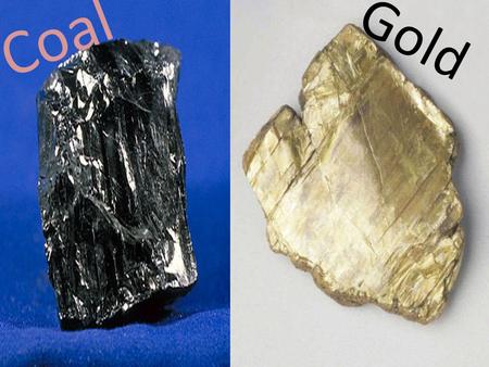 Coal Gold.