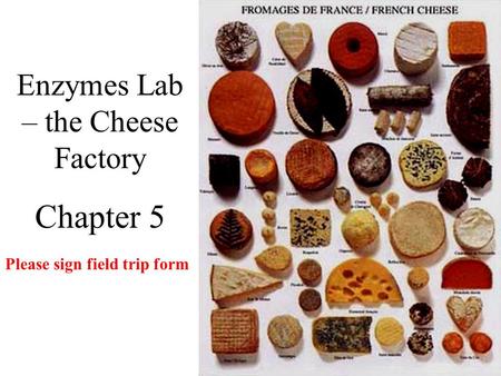 Enzymes Lab – the Cheese Factory Chapter 5 Please sign field trip form.