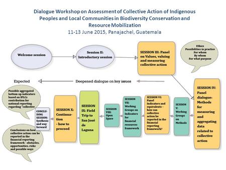 Dialogue Workshop on Assessment of Collective Action of Indigenous Peoples and Local Communities in Biodiversity Conservation and Resource Mobilization.