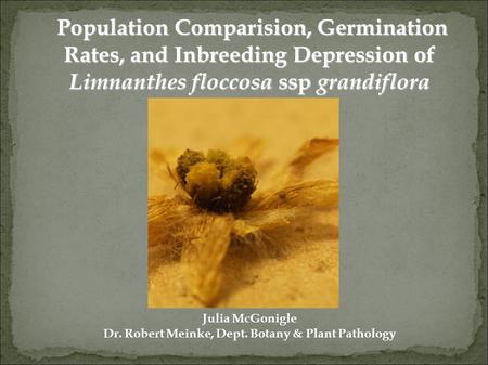 Population Comparision, Germination Rates, and Inbreeding Depression of Limnanthes floccosa ssp grandiflora Population Comparision, Germination Rates,