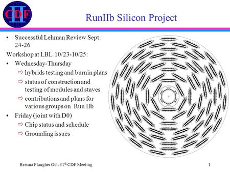 Brenna Flaugher Oct. 31 th CDF Meeting1 RunIIb Silicon Project Successful Lehman Review Sept. 24-26 Workshop at LBL 10/23-10/25: Wednesday-Thursday  hybrids.