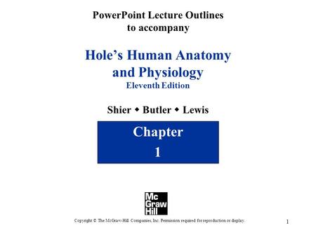 PowerPoint Lecture Outlines to accompany Hole’s Human Anatomy and Physiology Eleventh Edition Shier w Butler w Lewis Chapter 1 Copyright © The McGraw-Hill.