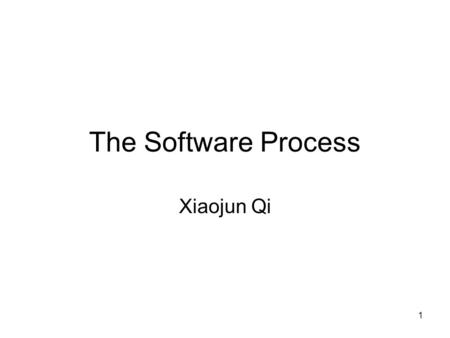 The Software Process Xiaojun Qi.