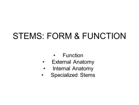 Function External Anatomy Internal Anatomy Specialized Stems