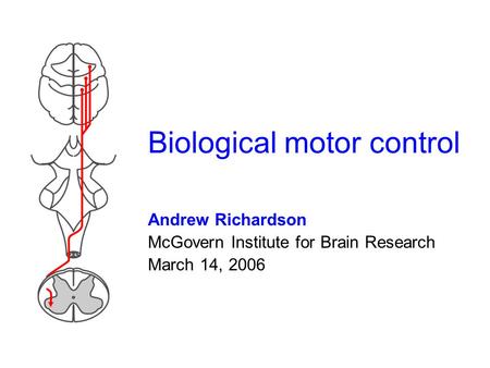 Biological motor control Andrew Richardson McGovern Institute for Brain Research March 14, 2006.