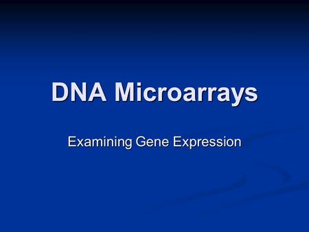 DNA Microarrays Examining Gene Expression. Prof. GrossBiology 4 DNA MicroArrays DNA MicroArrays use hybridization technology to examine gene expression.