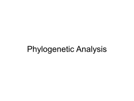 Phylogenetic Analysis. 2 Phylogenetic Analysis Overview Insight into evolutionary relationships Inferring or estimating these evolutionary relationships.
